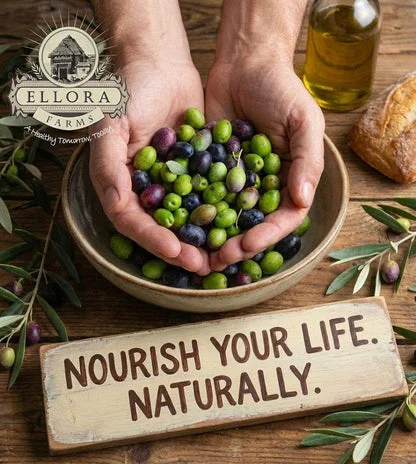 Ellora Farms Traceable Kolymvari Estates
