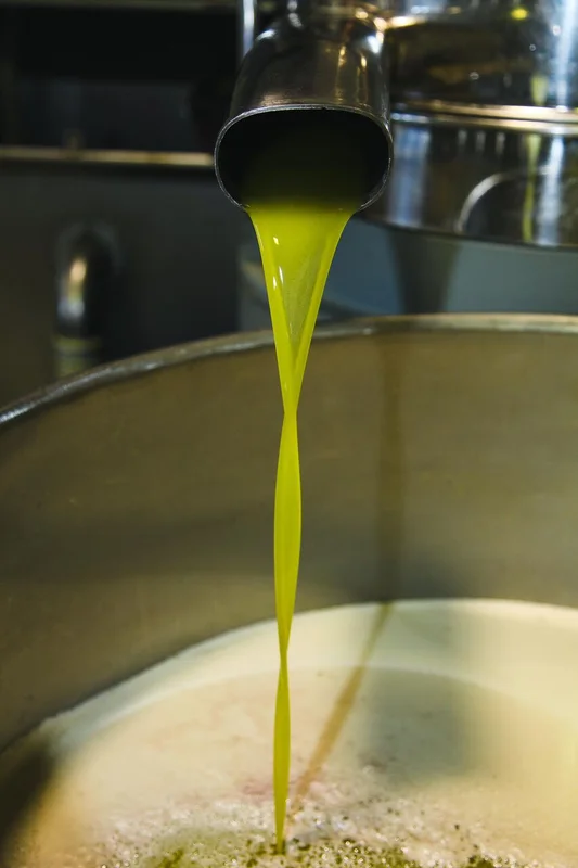 Olio Bello Kurunba Extra Virgin Olive Oil