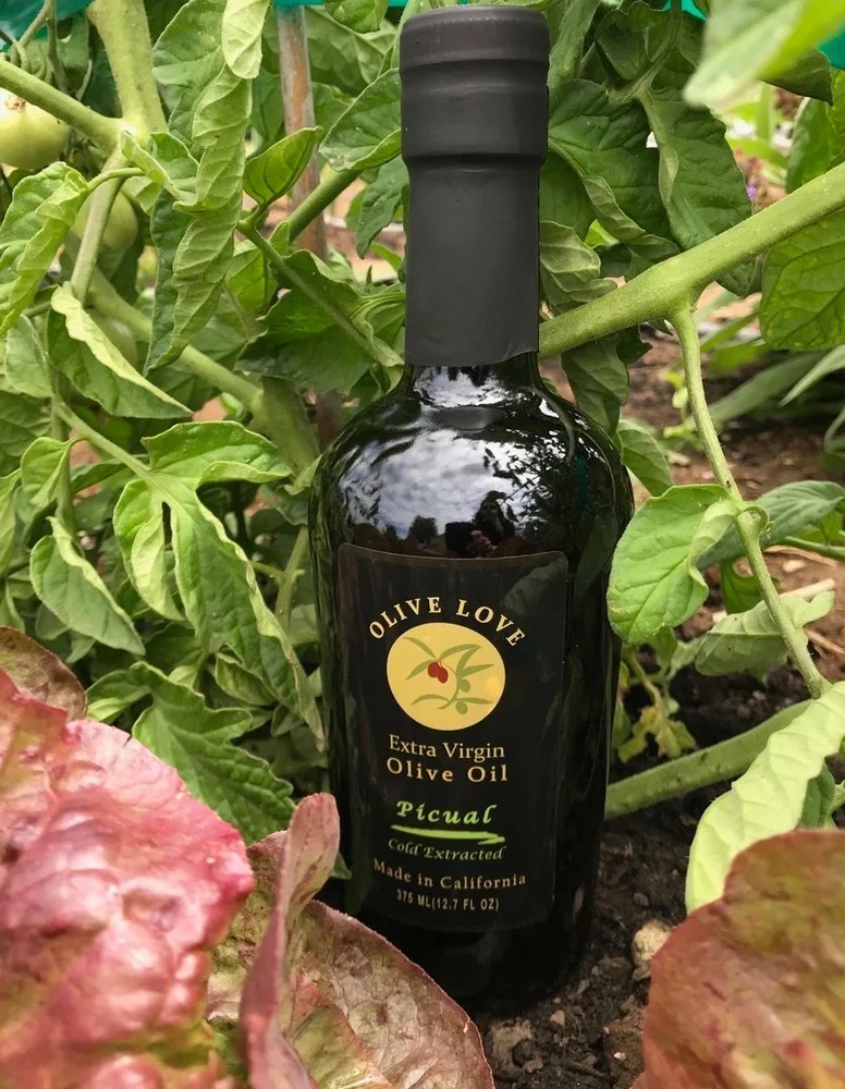 Olive Love Piqual