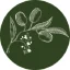 Caves Road Olives