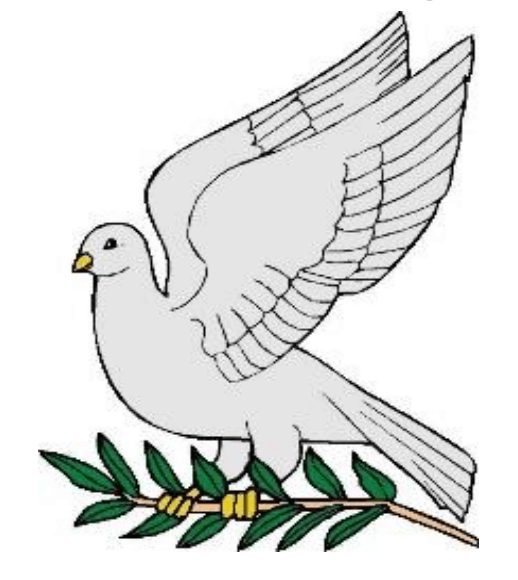 Clackline Valley Olives logo