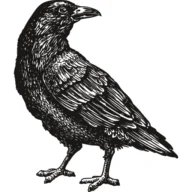 Durant logo