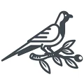 Namaqua Olives logo