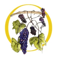 Rosnay