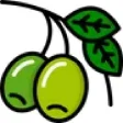 Watercress Creek Olives & Limes